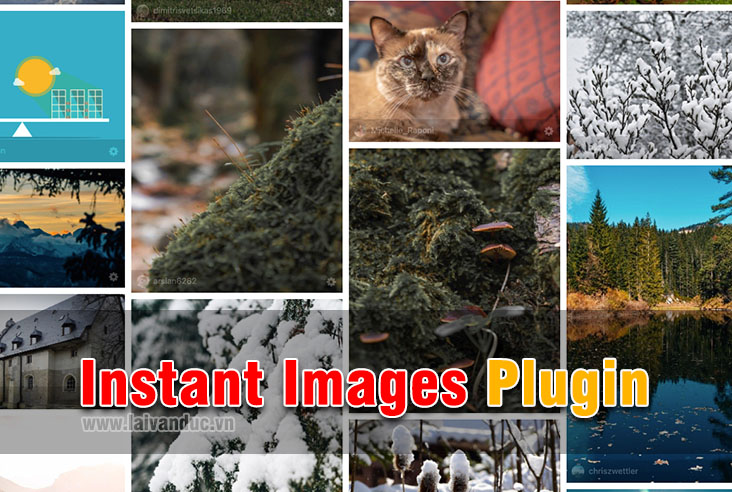 Instant Images - Hình ảnh từ Unsplash và Pixabay cho WordPress