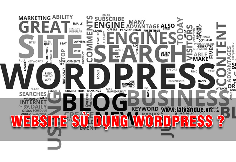 Website sử dụng WordPress, làm thế nào để nhận ra ?