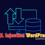 SQL Injection WordPress an toàn hơn với Functions