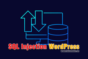 SQL Injection WordPress an toàn hơn với Functions