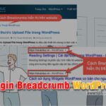 Plugin Breadcrumbs WordPress tốt nhất