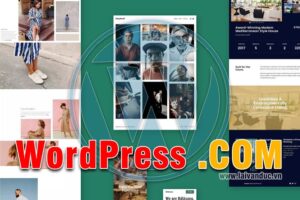 WordPress.com có những hạn chế gì khi sử dụng ?