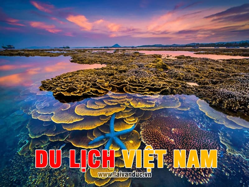 Du lịch khắp Việt Nam với các địa điểm tham quan chi tiết