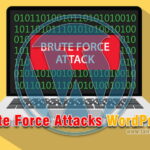 WordPress Brute Force Attacks