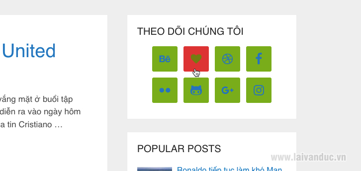Chèn Icons Mạng Xã Hội trong Widget WordPress