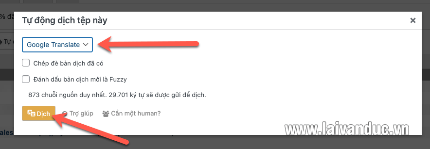 Chọn Dịch Tự Động